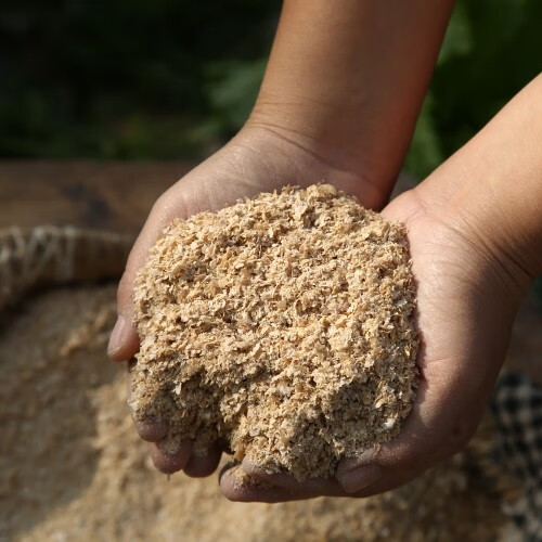 Wheat bran